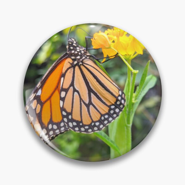Item preview, Orange Monarch Butterfly designed and sold by Shapes-Mania.