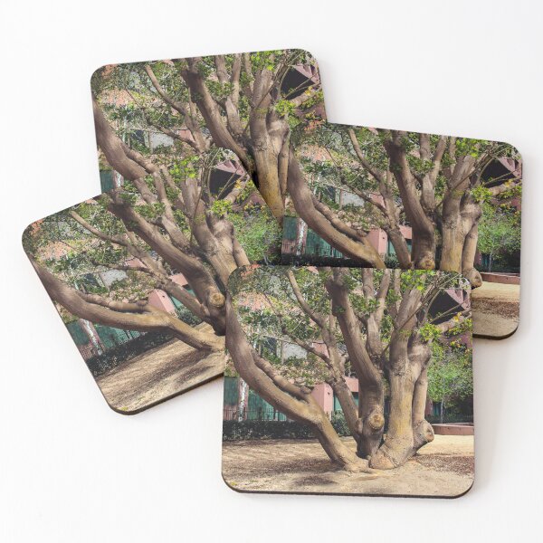 Item preview, Multi-Trunk Tree designed and sold by heatherfriedman.