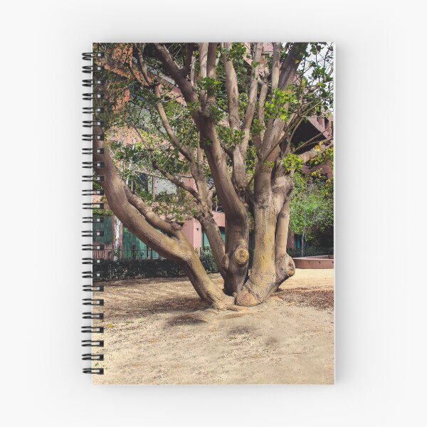 Item preview, Multi-Trunk Tree designed and sold by heatherfriedman.