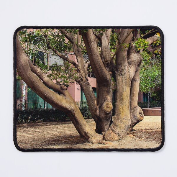 Item preview, Multi-Trunk Tree designed and sold by heatherfriedman.