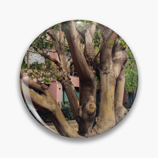 Item preview, Multi-Trunk Tree designed and sold by heatherfriedman.