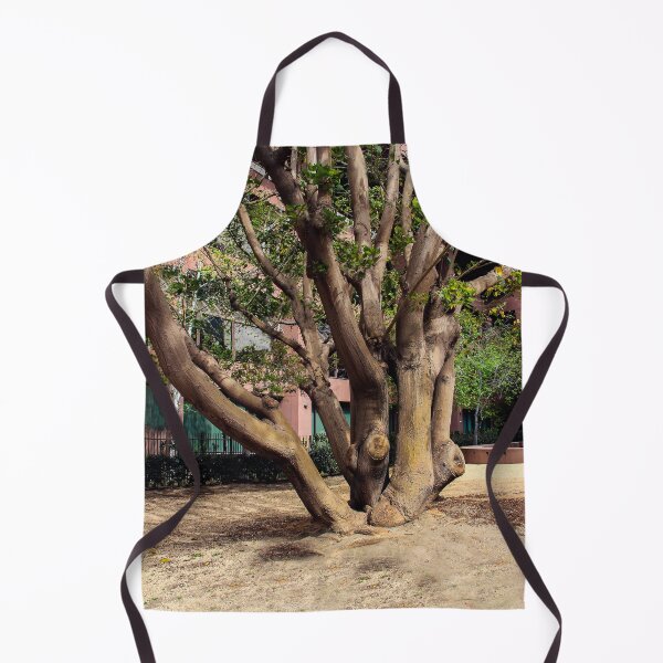 Item preview, Multi-Trunk Tree designed and sold by heatherfriedman.