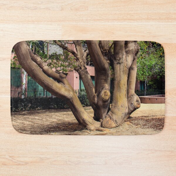 Item preview, Multi-Trunk Tree designed and sold by heatherfriedman.