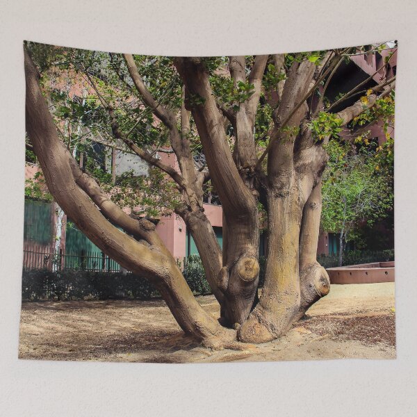 Item preview, Multi-Trunk Tree designed and sold by heatherfriedman.