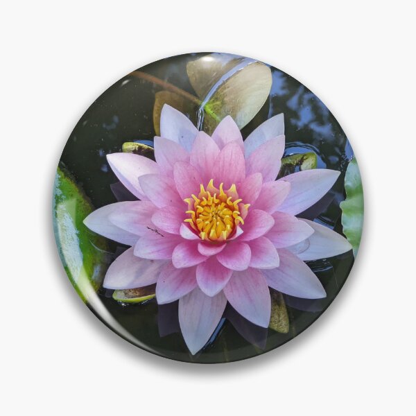 Item preview, Heart of the Water Lily designed and sold by Jkund19.