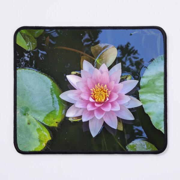 Item preview, Heart of the Water Lily designed and sold by Jkund19.