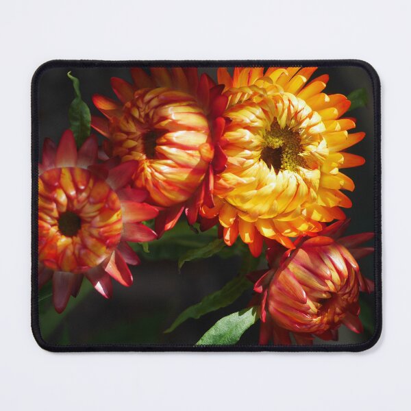 Item preview, Paper Daisy ( 1 ) designed and sold by Larry Davis.