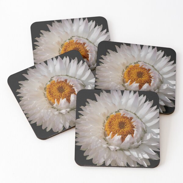 Item preview, Paper Daisy (2) designed and sold by Larry Davis.