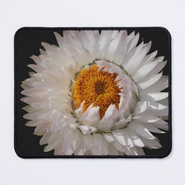 Item preview, Paper Daisy (2) designed and sold by Larry Davis.