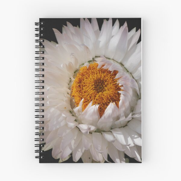 Item preview, Paper Daisy (2) designed and sold by Larry Davis.