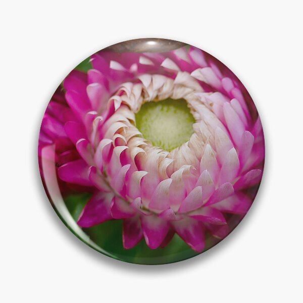 Item preview, Paper Daisy (4) designed and sold by Larry Davis.