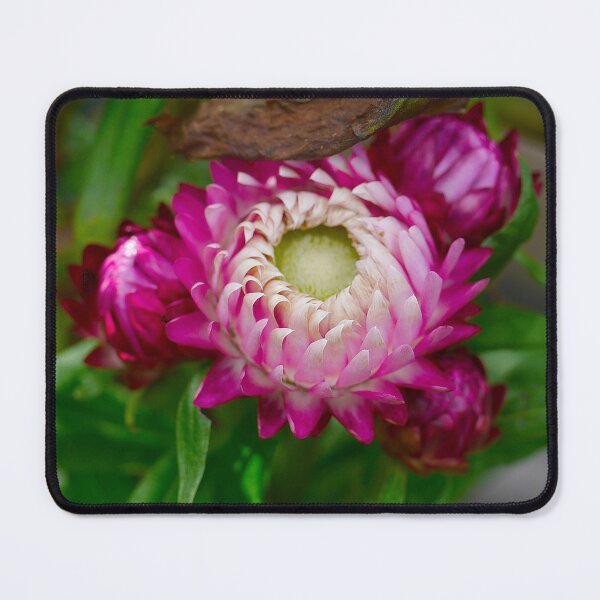 Item preview, Paper Daisy (4) designed and sold by Larry Davis.