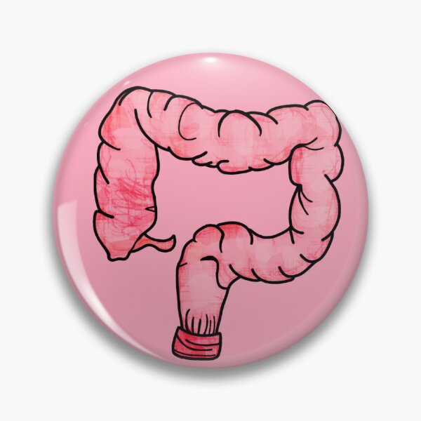 Artikelvorschau, Biologie-Notizaufkleber 2025 - (Dickdarm) entworfen und verkauft von ClumsyPillbug.
