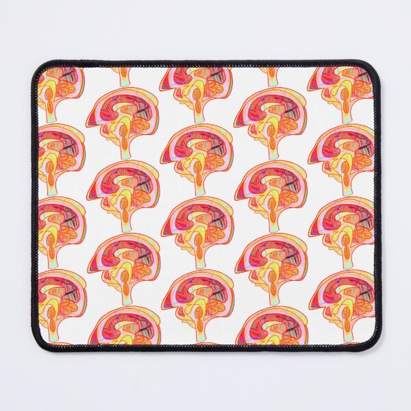 Item preview, Biology Notes Sticker 2025 - (Brain Bisection) (White) designed and sold by ClumsyPillbug.