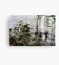 Natural Art Canvas Print