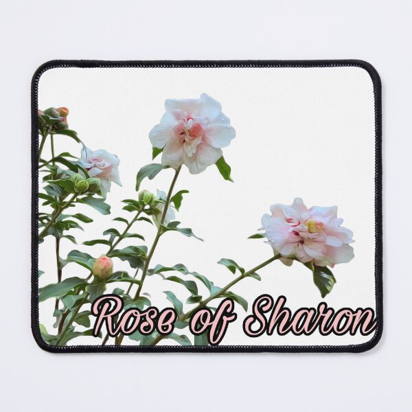 Item preview, Rose of Sharon Blossoms designed and sold by The She Shed.