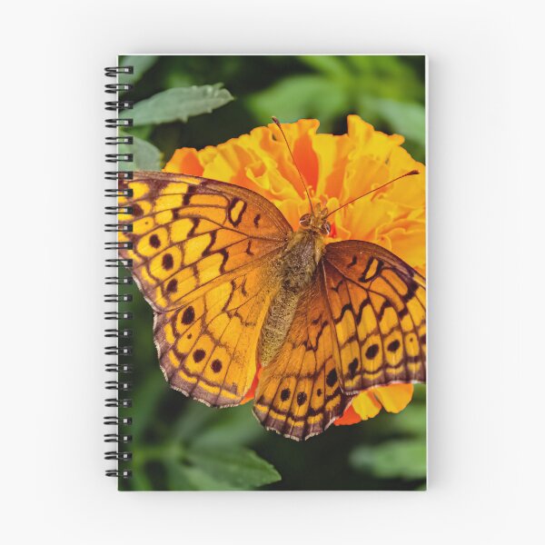 Item preview, Variegated Fritillary Butterfly designed and sold by Birds & Beans Photography.