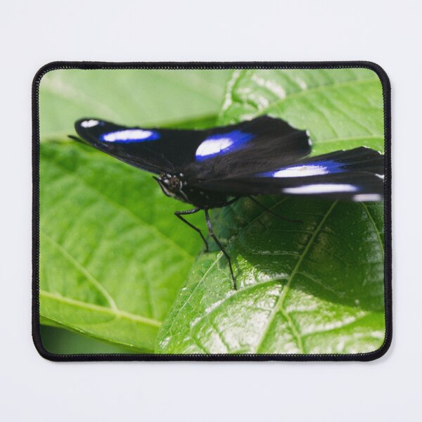 Item preview, Blue Moon Butterfly_02 designed and sold by ROSE ANN BANILAR.