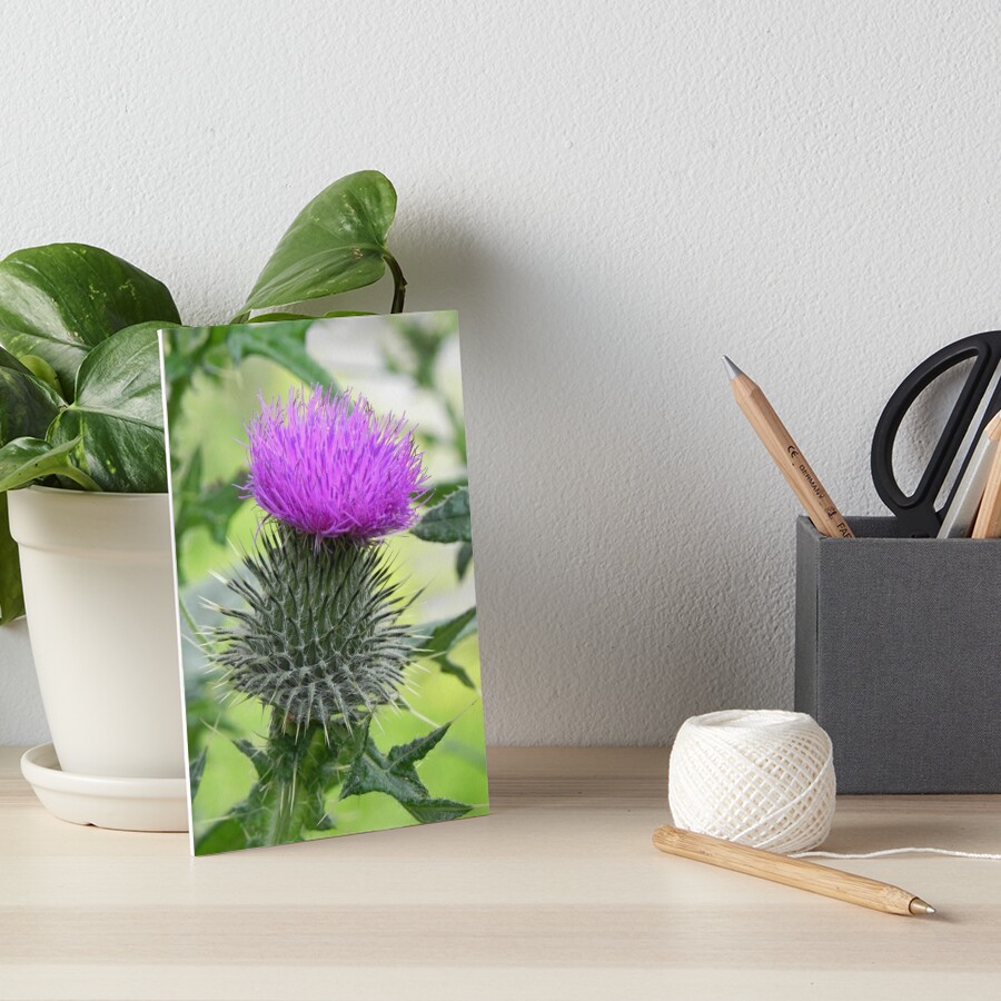 Thistle 5x7 Canvas