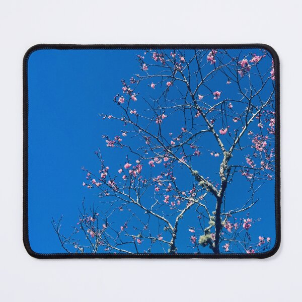 Item preview, Cherry Blossoms Buds designed and sold by Jasbindar Singh.