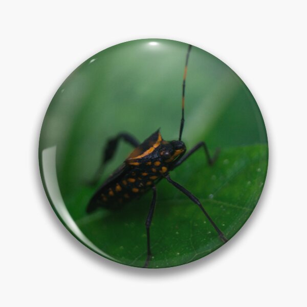 Item preview, Citron Bug designed and sold by ROSE ANN BANILAR.