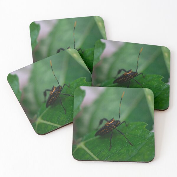Item preview, Citron Bug designed and sold by ROSE ANN BANILAR.