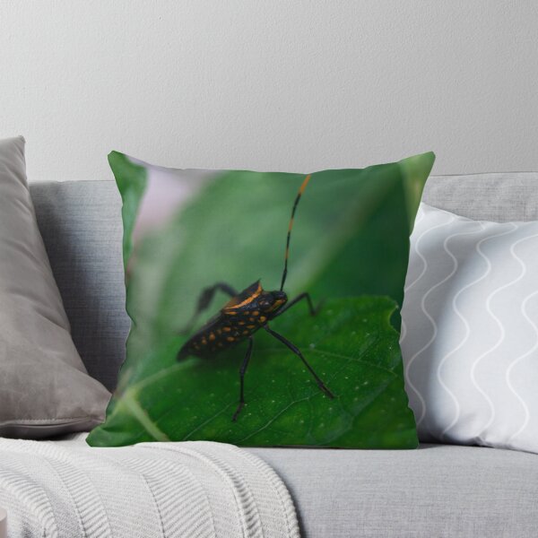 Item preview, Citron Bug designed and sold by ROSE ANN BANILAR.