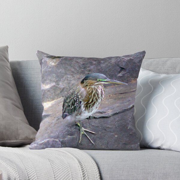 Item preview, Juvenile Green Heron designed and sold by gistinker.