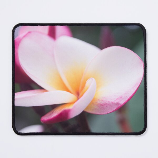 Item preview, Frangipani designed and sold by ROSE ANN BANILAR.