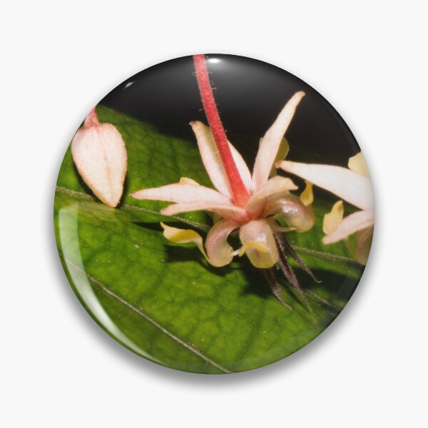 Item preview, cacao flowers designed and sold by ROSE ANN BANILAR.