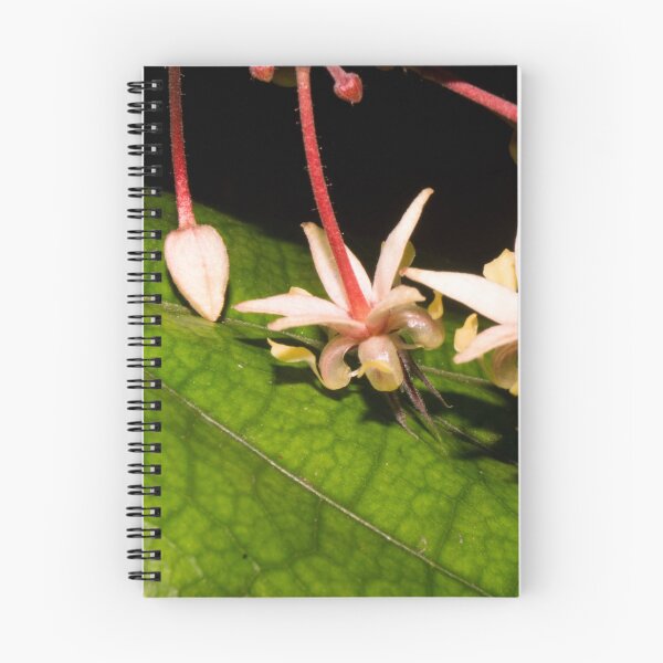 Item preview, cacao flowers designed and sold by ROSE ANN BANILAR.