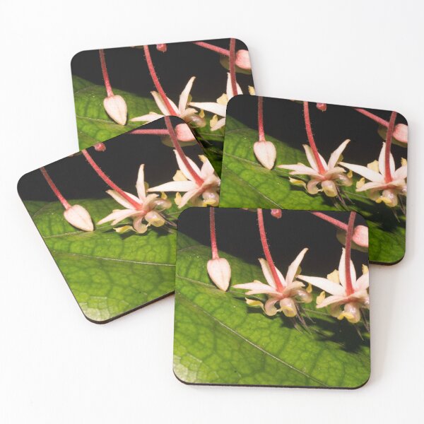Item preview, cacao flowers designed and sold by ROSE ANN BANILAR.