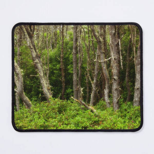Item preview, An Oregon Tranquil Forest Scene designed and sold by jklune.