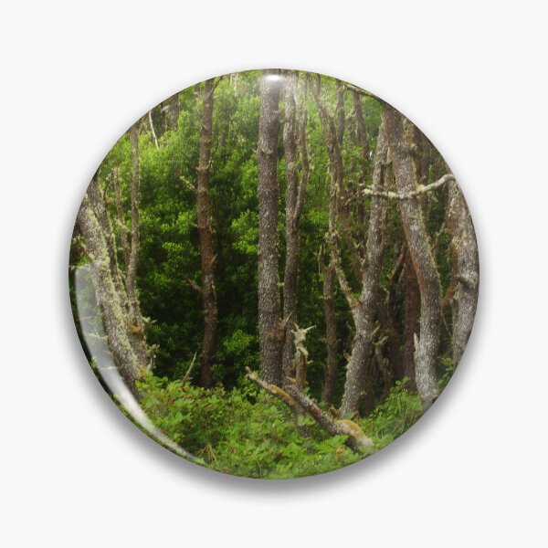 Item preview, An Oregon Tranquil Forest Scene designed and sold by jklune.