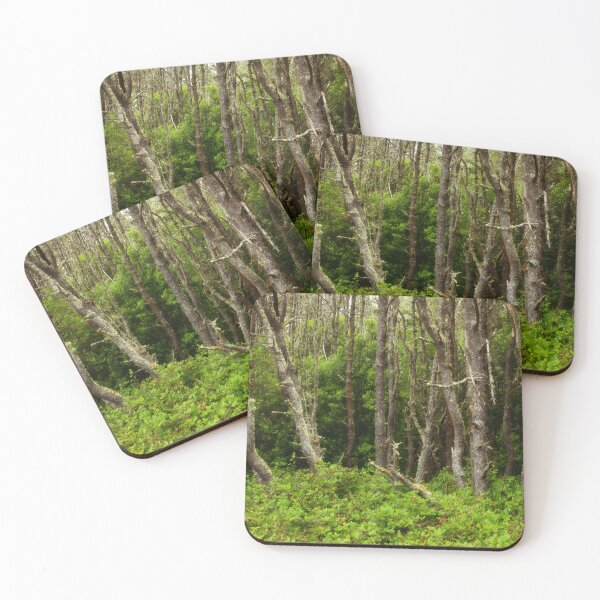 Item preview, An Oregon Tranquil Forest Scene designed and sold by jklune.
