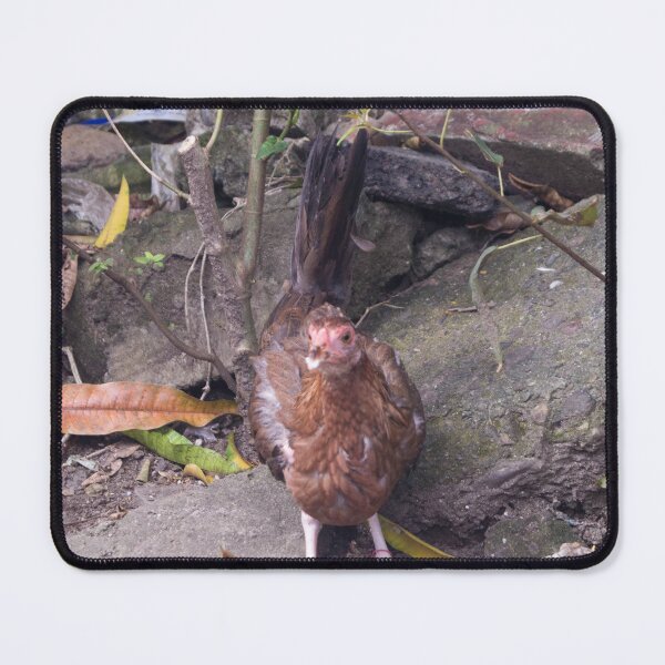 Item preview, Chicken_Hen designed and sold by ROSE ANN BANILAR.