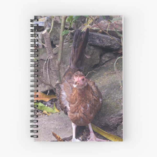 Item preview, Chicken_Hen designed and sold by ROSE ANN BANILAR.