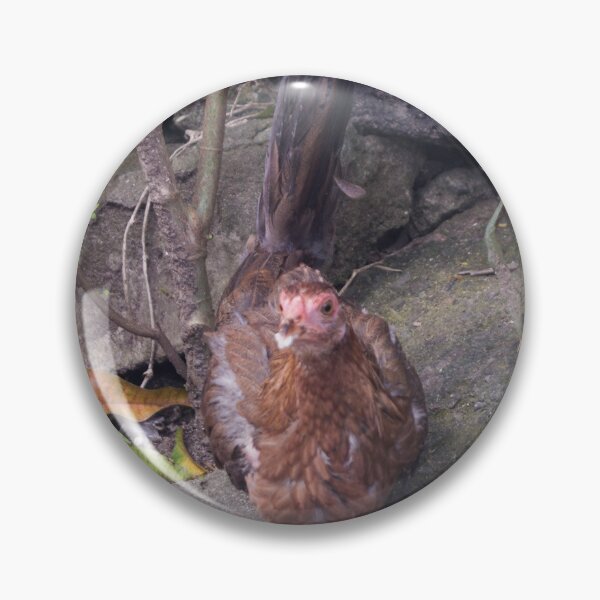 Item preview, Chicken_Hen designed and sold by ROSE ANN BANILAR.