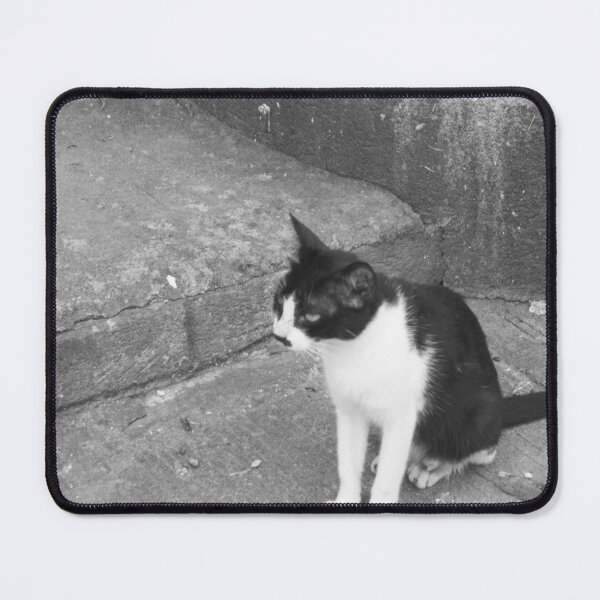 Item preview, B&W - Black and White Waiting designed and sold by ROSE ANN BANILAR.