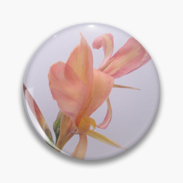 Item preview, apricot, peach, or salmon-colored Canna Lilies designed and sold by ROSE ANN BANILAR.