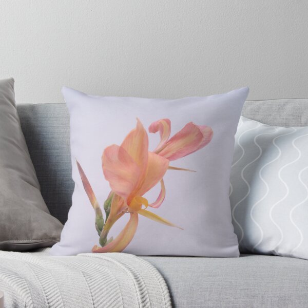 Item preview, apricot, peach, or salmon-colored Canna Lilies designed and sold by ROSE ANN BANILAR.