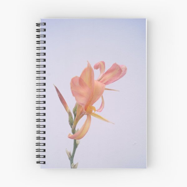 Item preview, apricot, peach, or salmon-colored Canna Lilies designed and sold by ROSE ANN BANILAR.