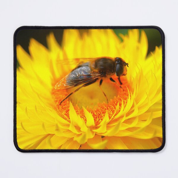 Item preview, Paper Daisy (3) designed and sold by Larry Davis.