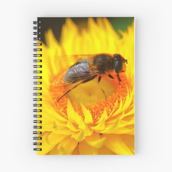 Item preview, Paper Daisy (3) designed and sold by Larry Davis.