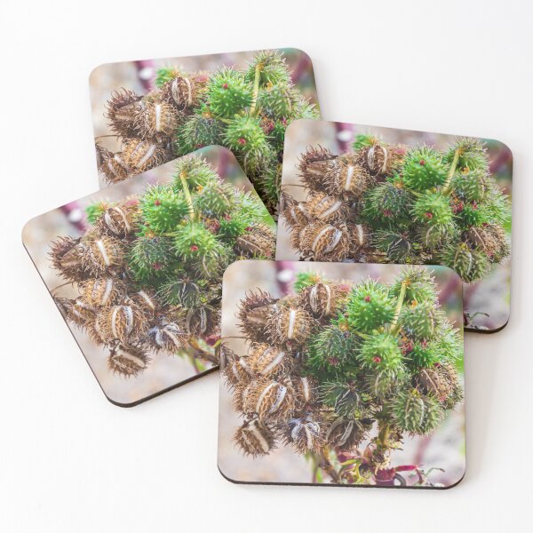 Item preview, Cluster Of Green And Dried Castor Bean Seed Pods On A Plant Macro Botanical Detail designed and sold by Nmallia.