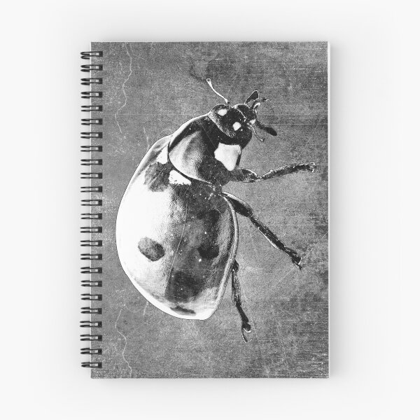 Item preview, Seven Spot Ladybug Beetle Macro Insect Specimen designed and sold by Ghoul Enterprises.