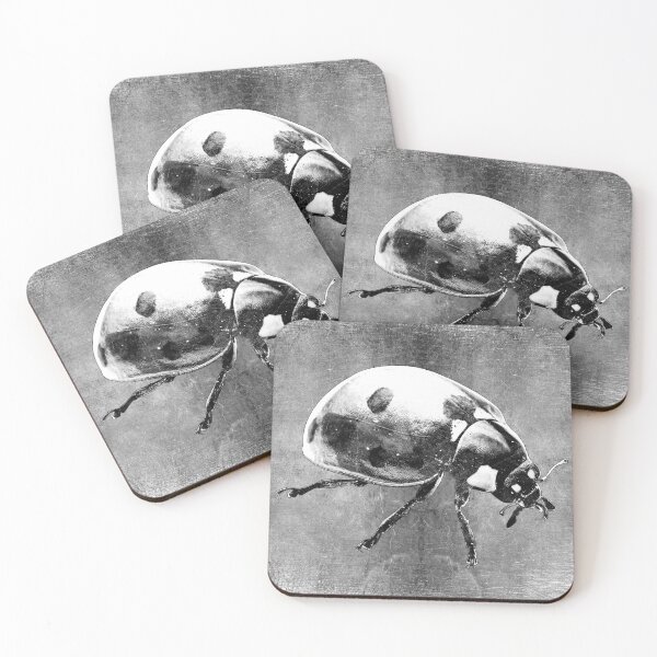 Item preview, Seven Spot Ladybug Beetle Macro Insect Specimen designed and sold by Ghoul Enterprises.