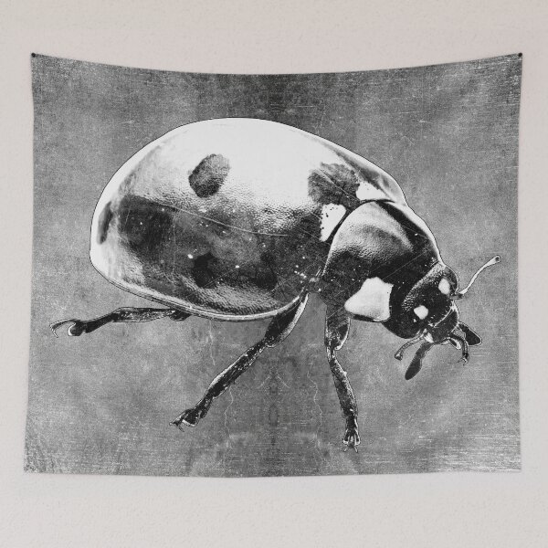 Item preview, Seven Spot Ladybug Beetle Macro Insect Specimen designed and sold by Ghoul Enterprises.