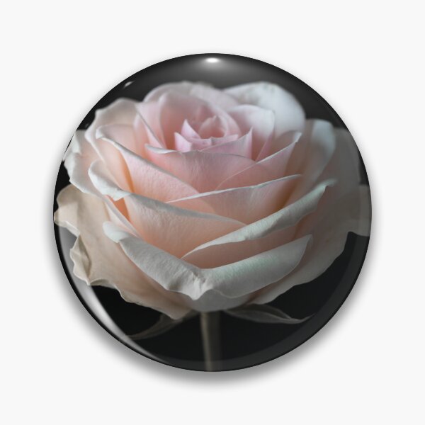 Item preview, Close up of a Rose designed and sold by assaf.