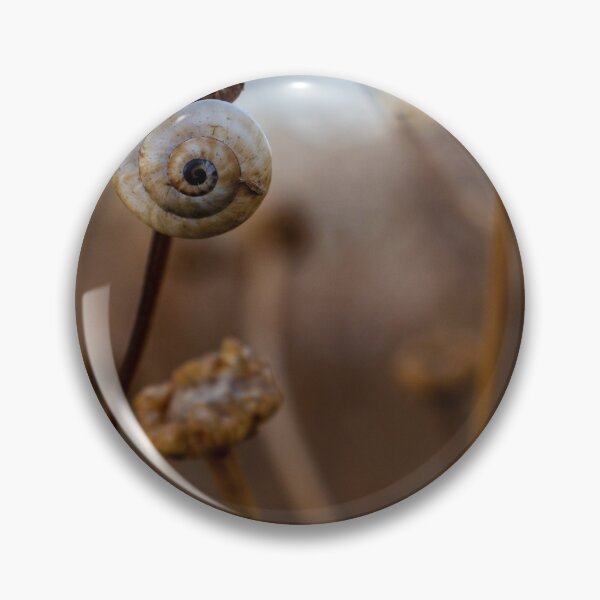 Item preview, Snail Shell on Dried Wildflower Stem With Spiral Detail in Soft Natural Light designed and sold by Nmallia.